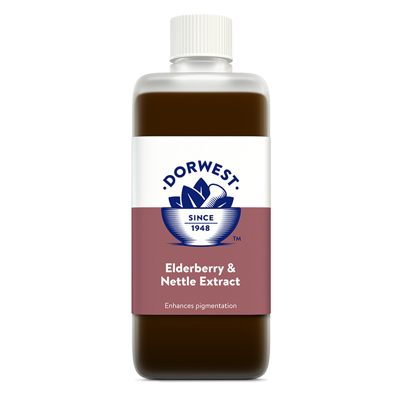 Dorwest Elderberry & Nettle Extract