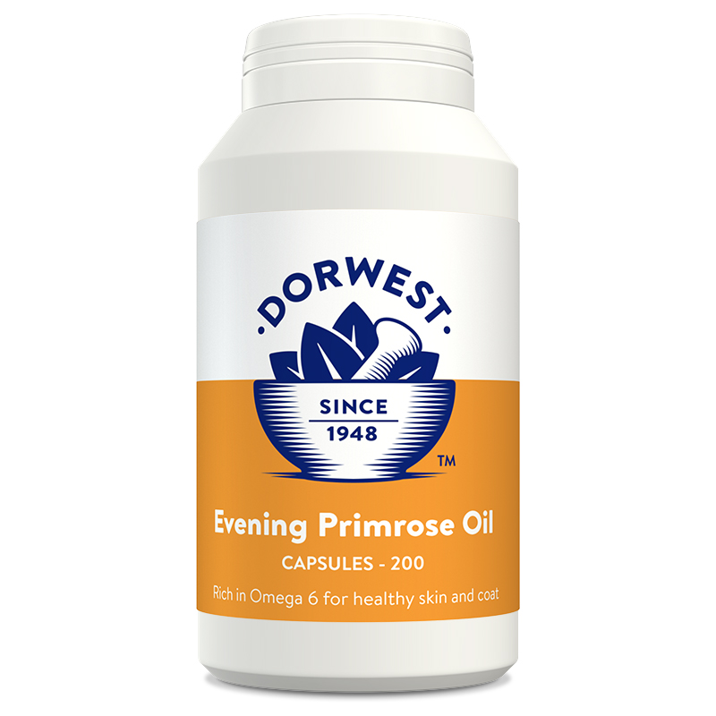 Evening Primrose Oil - Kapsel (200 Stück)